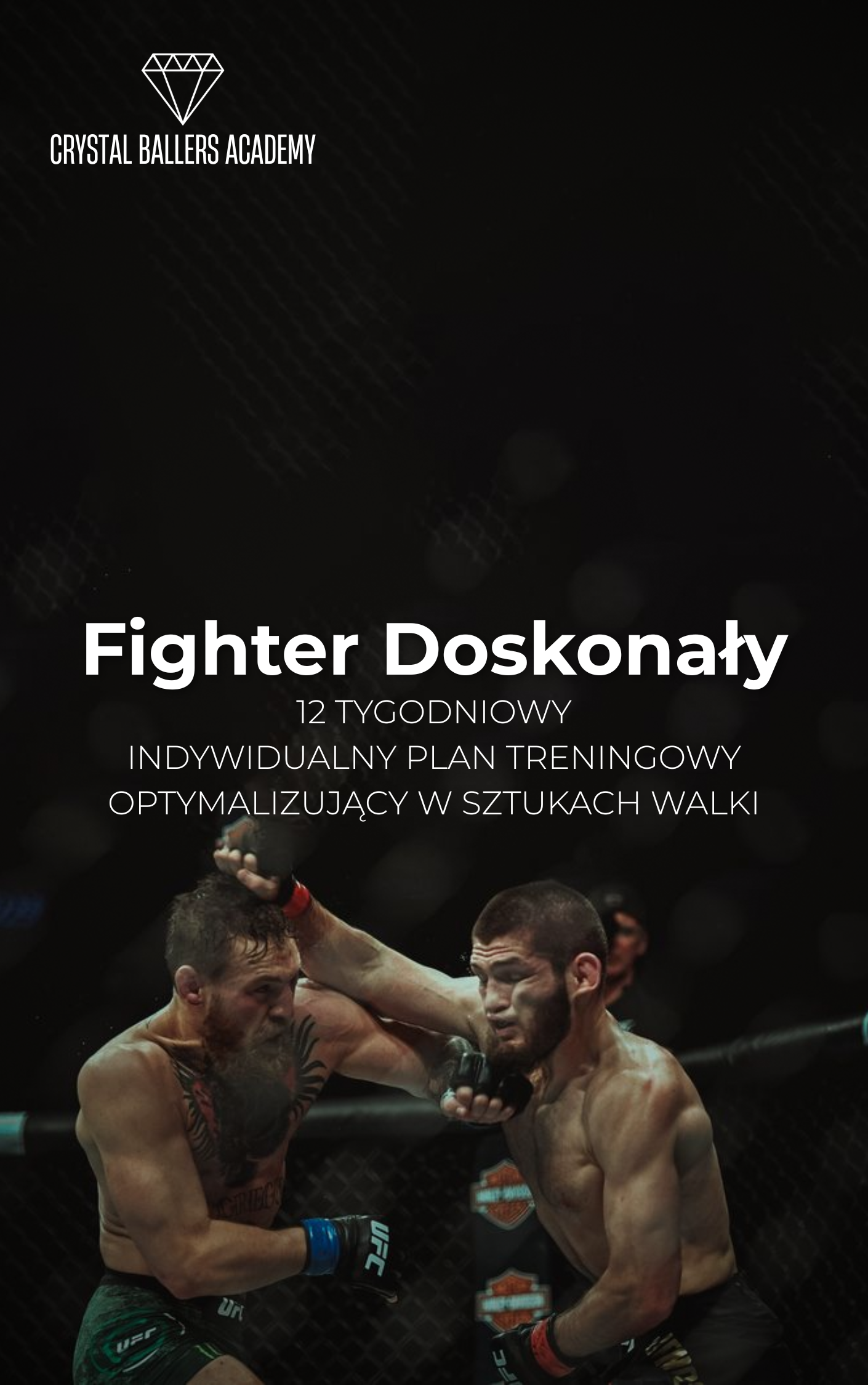 Perfect Fighter