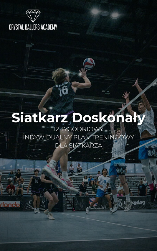 Perfect Volleyball Player