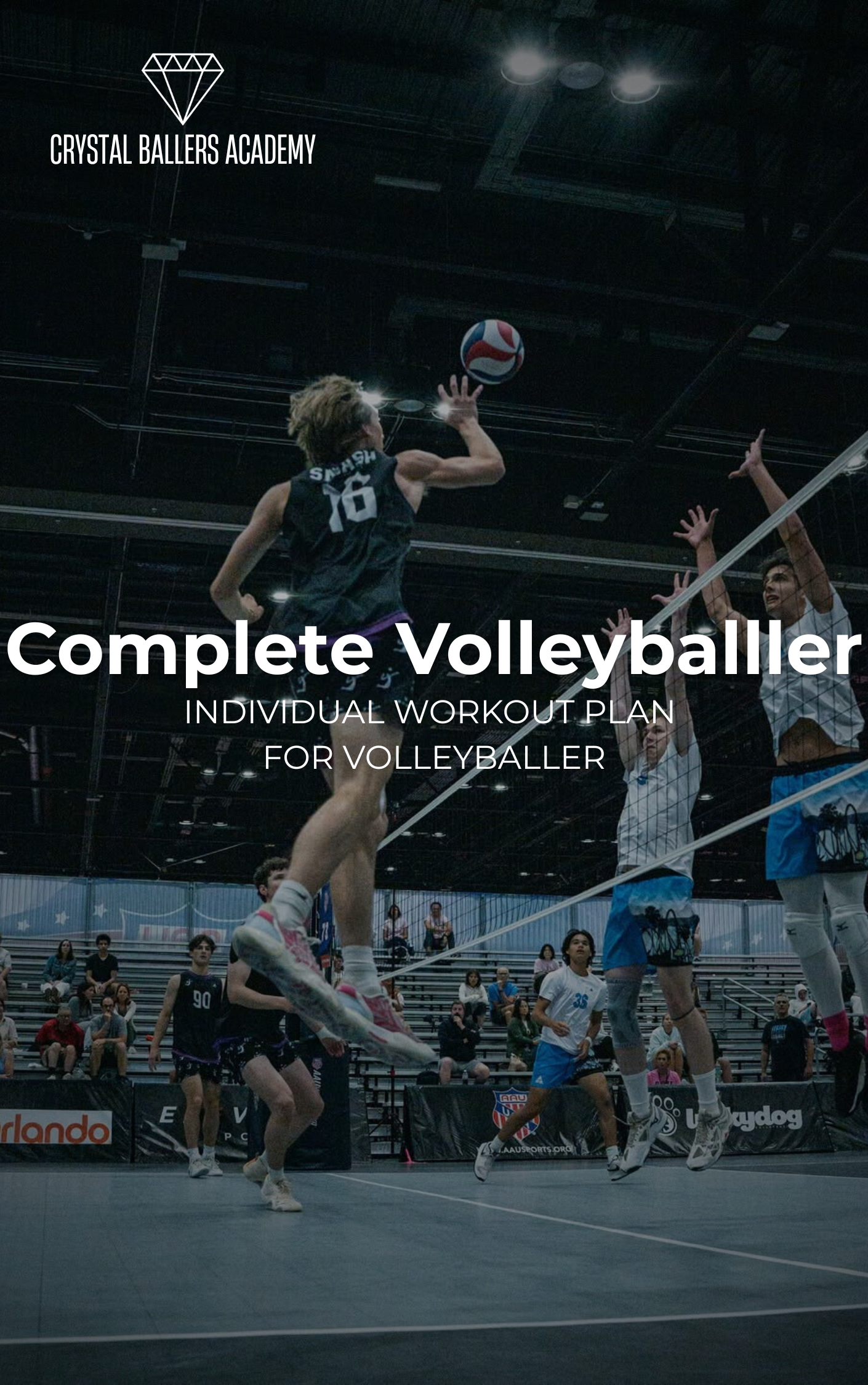 Perfect Volleyball Player